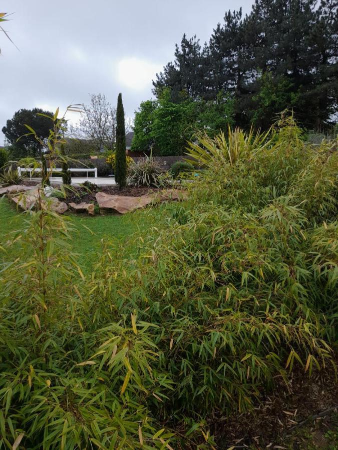Chambre Dans Un Ecrin De Verdure Angrie Luaran gambar